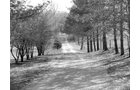 Property photo 34 - 97.5 Acres - Executive Home and Secluded Retreat